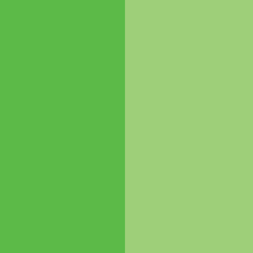 Euromin Brilliant Green EXF 11